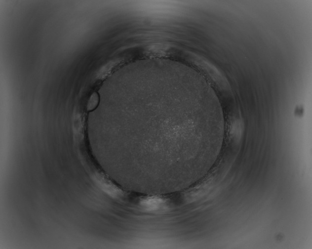 X0000102530759200808081451