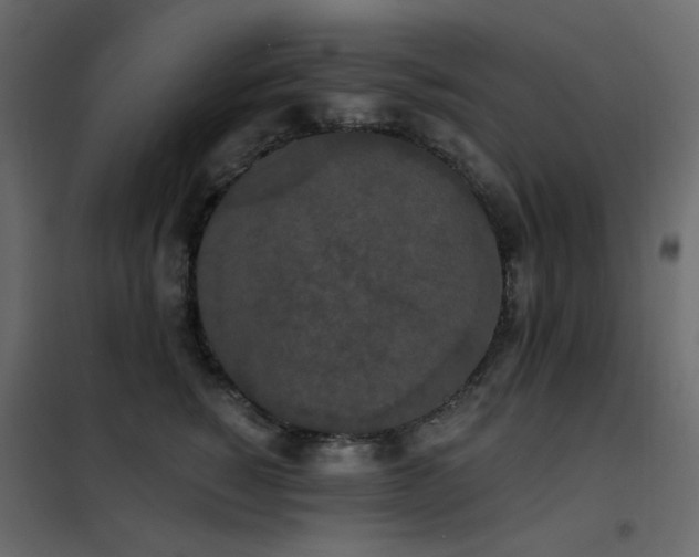 X0000102530760200808081451
