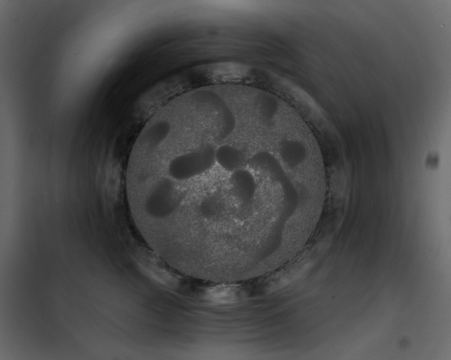 X0000102530761200808081451