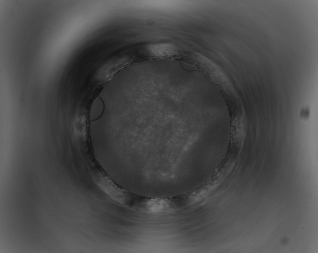 X0000102530762200808081451