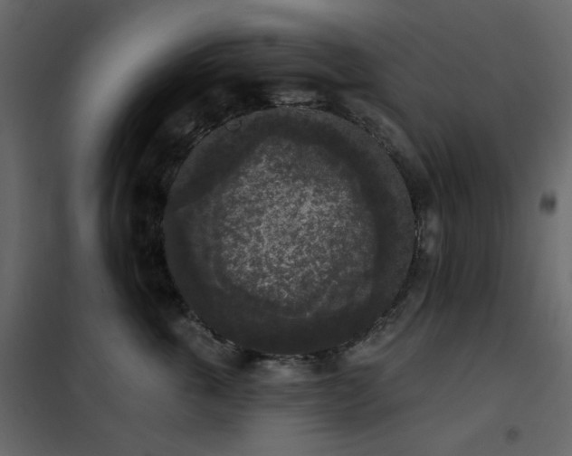 X0000102530763200808081451