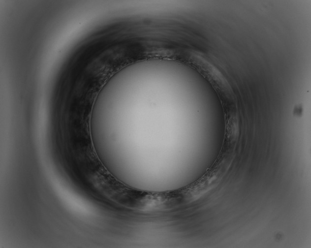 X0000102530764200808081451