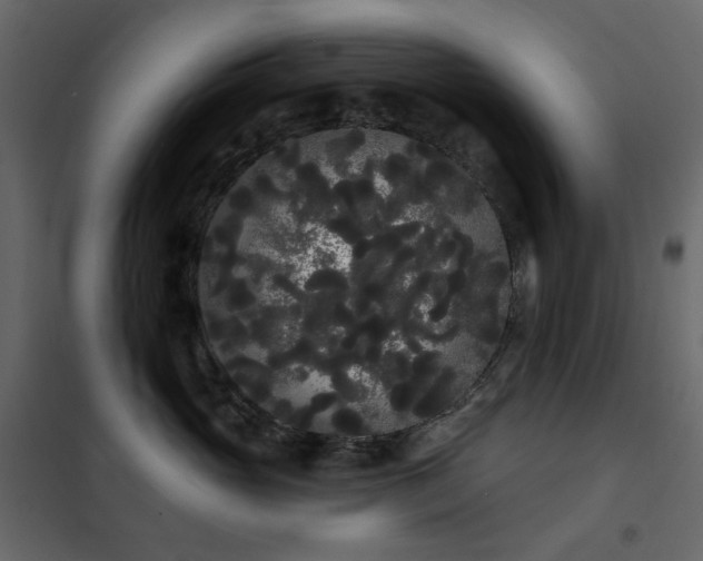 X0000102530765200808081452