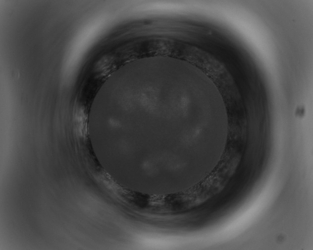 X0000102530766200808081452
