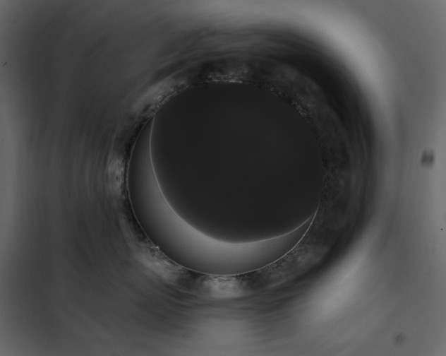X0000102530767200808081452