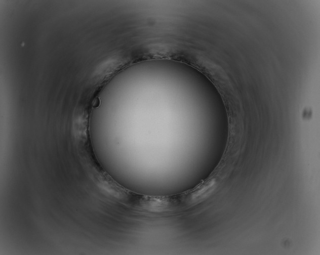 X0000102530768200808081452