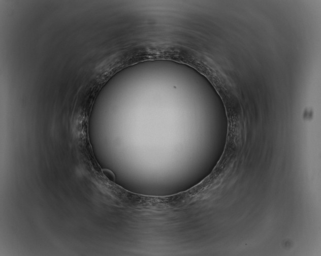 X0000102530770200808081451