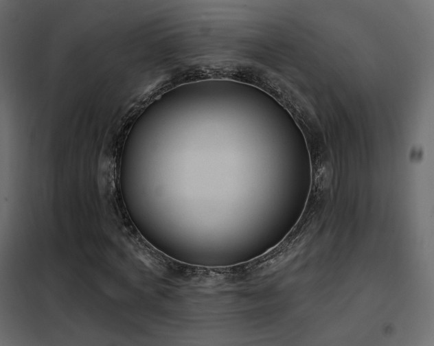X0000102530772200808081451