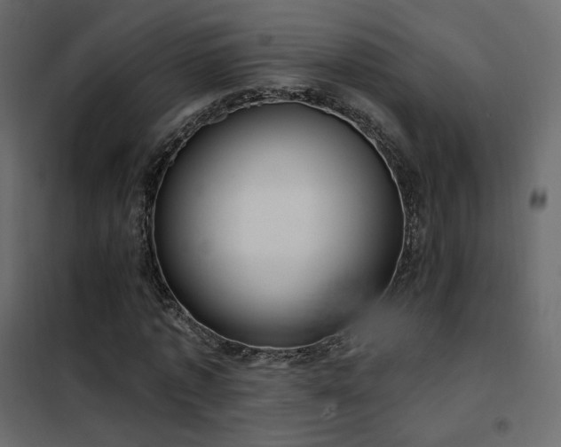 X0000102530773200808081451