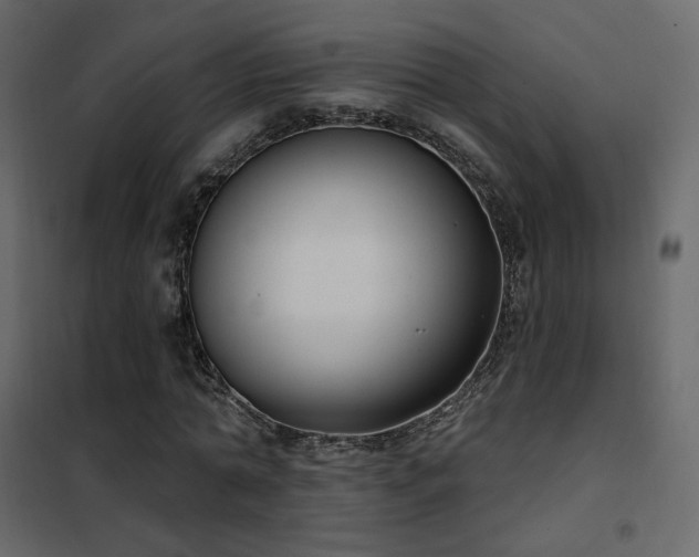 X0000102530774200808081451