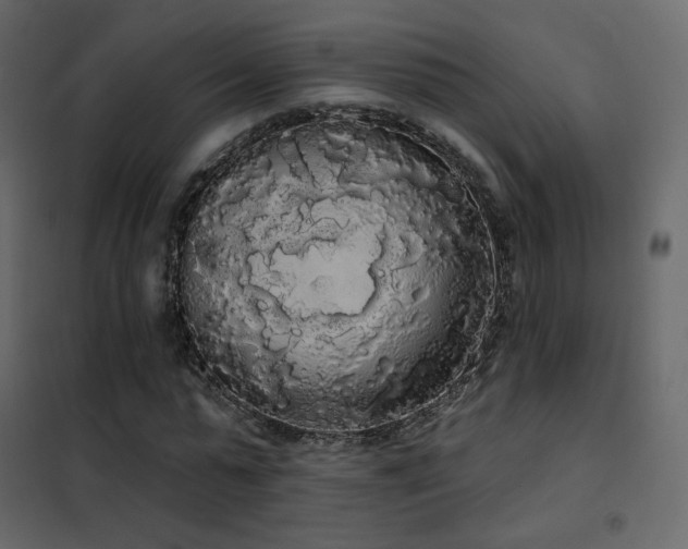 X0000102530775200808081451