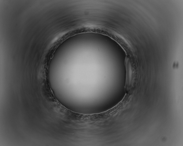 X0000102530776200808081451