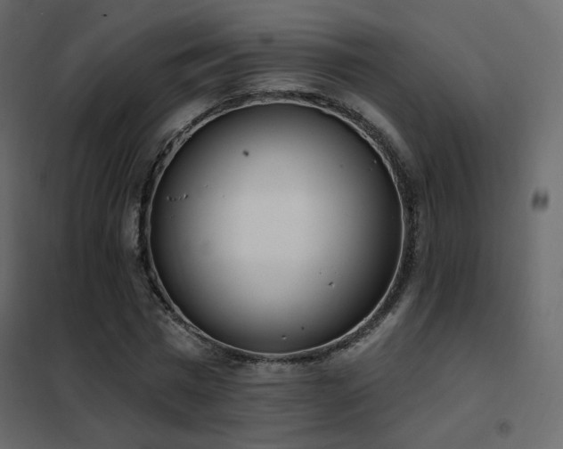 X0000102530777200808081451