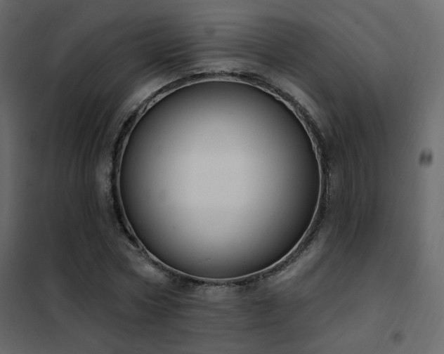 X0000102530778200808081451