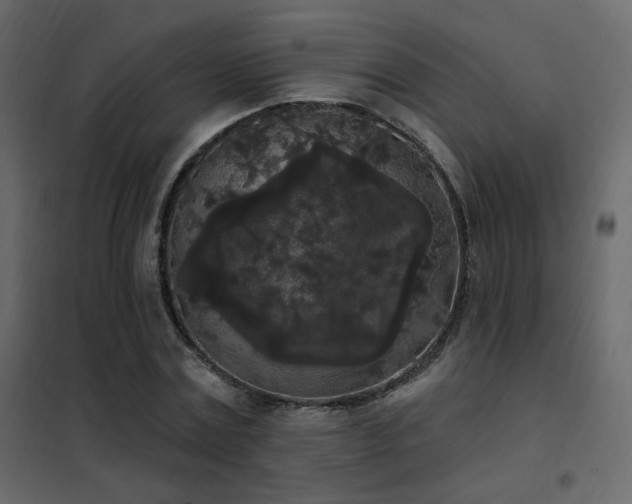 X0000102530779200808081451