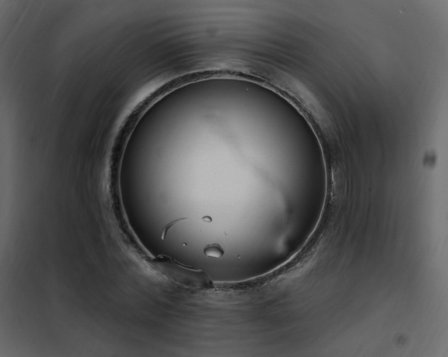 X0000102530780200808081451