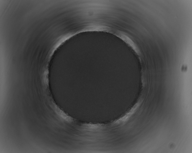 X0000102530781200808081451