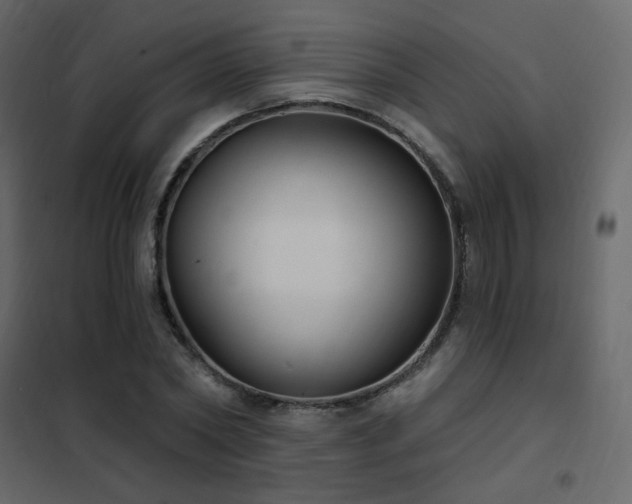 X0000102530782200808081451
