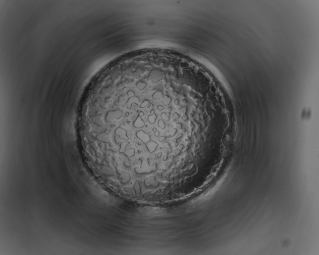 X0000102530783200808081451