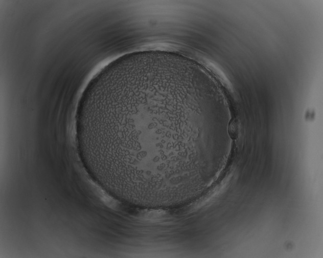 X0000102530784200808081451