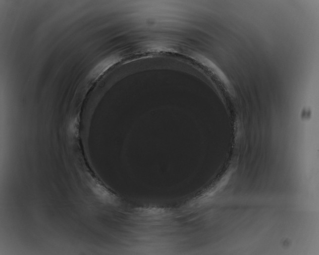 X0000102530785200808081451