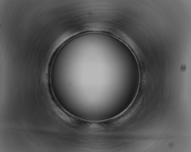 X0000102530787200808081451