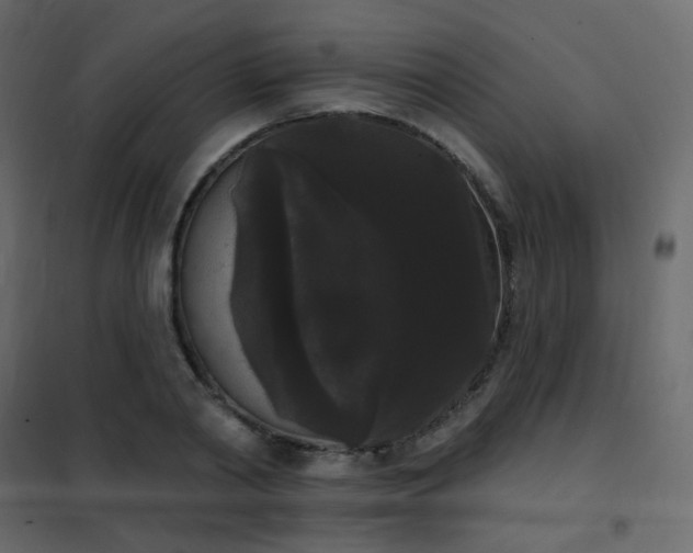 X0000102530790200808081450