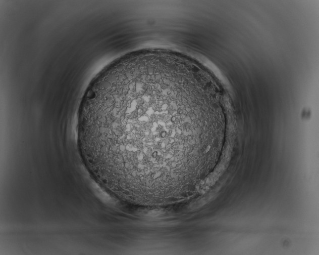 X0000102530791200808081450