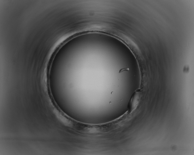 X0000102530792200808081450