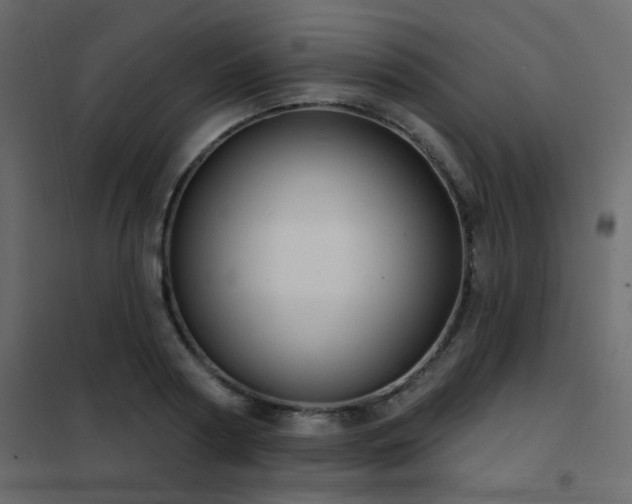 X0000102530794200808081450
