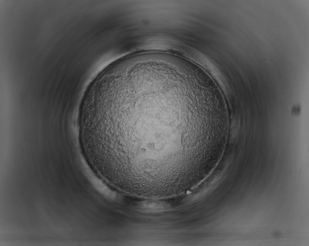 X0000102530795200808081450