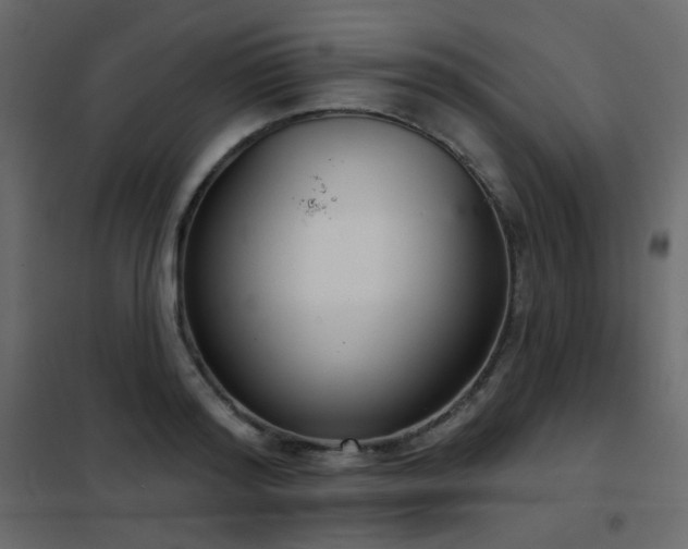 X0000102530796200808081450