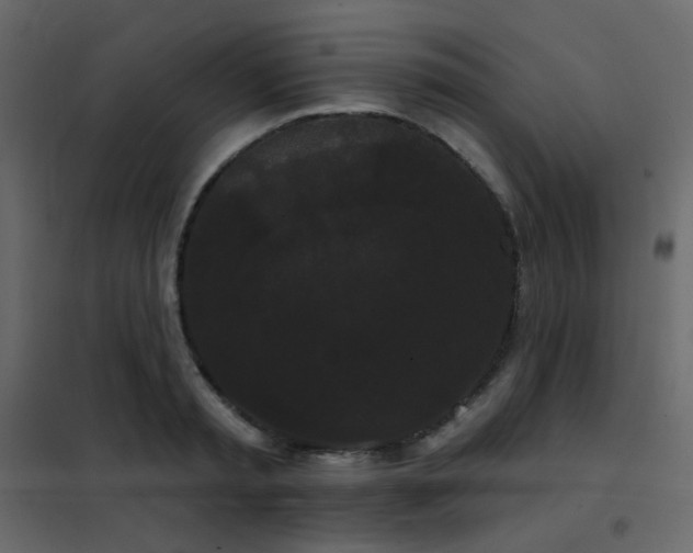 X0000102530797200808081450