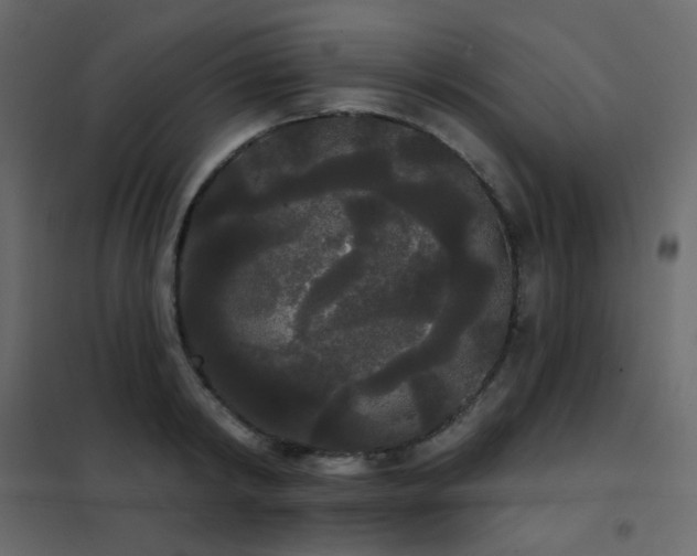 X0000102530798200808081450