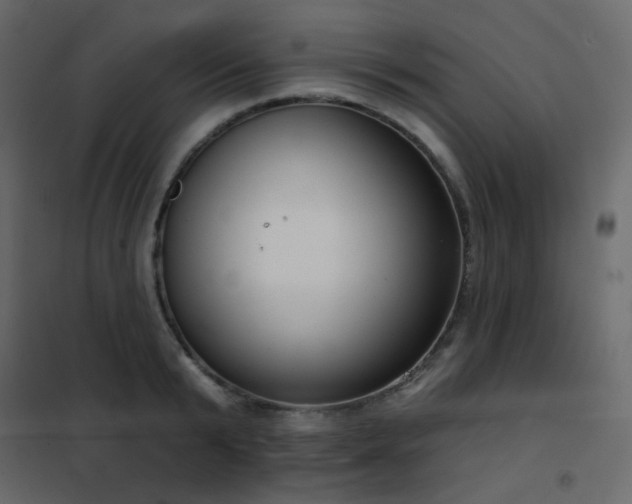 X0000102530799200808081450