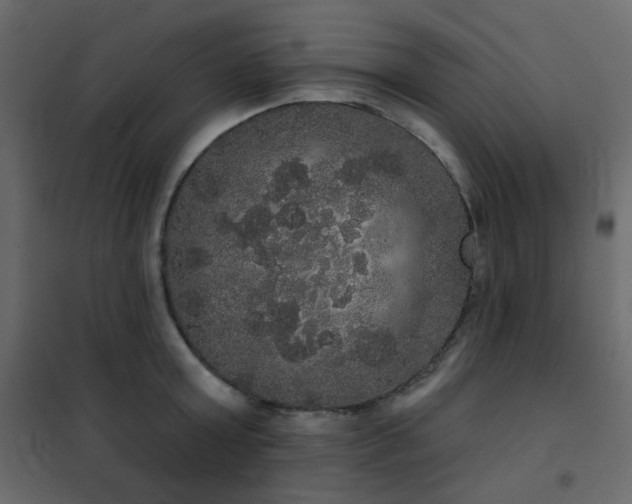 X0000102530803200808081450