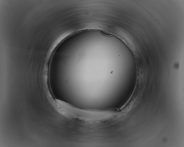 X0000102530804200808081450
