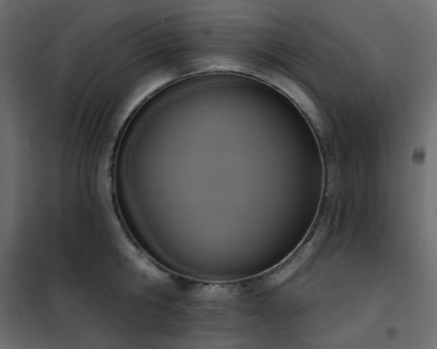 X0000102530806200808081450