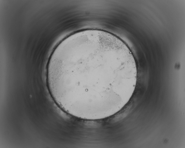 X0000102530807200808081450
