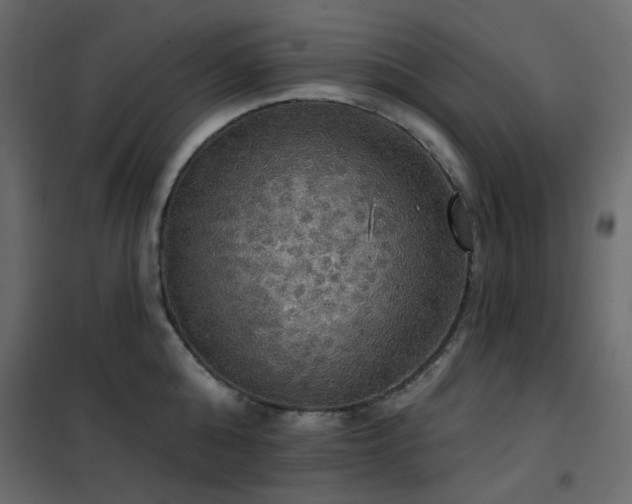X0000102530808200808081450