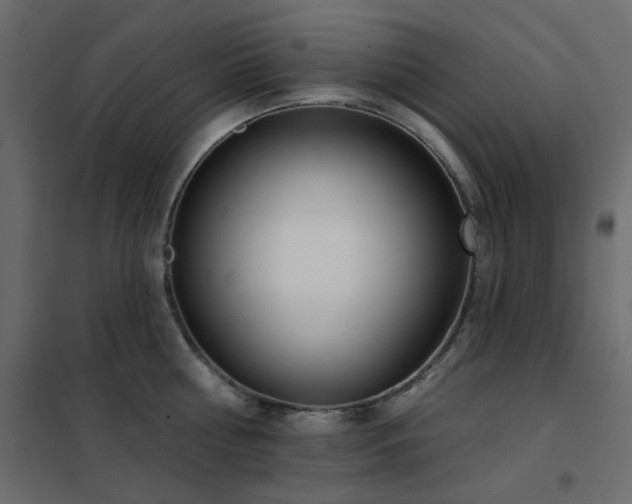 X0000102530810200808081450