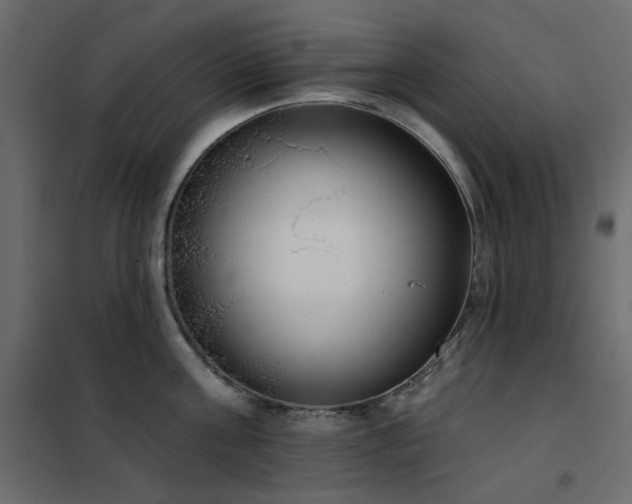 X0000102530811200808081450
