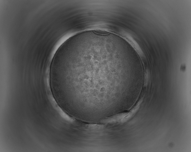 X0000102530812200808081450