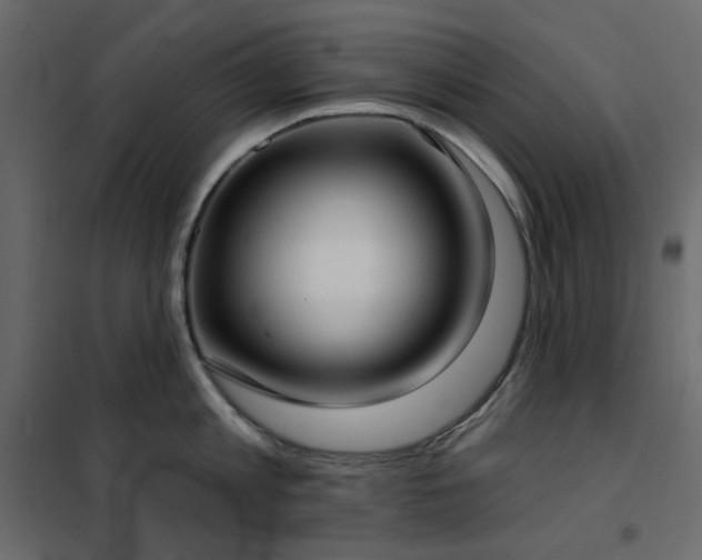 X0000102530813200808081450