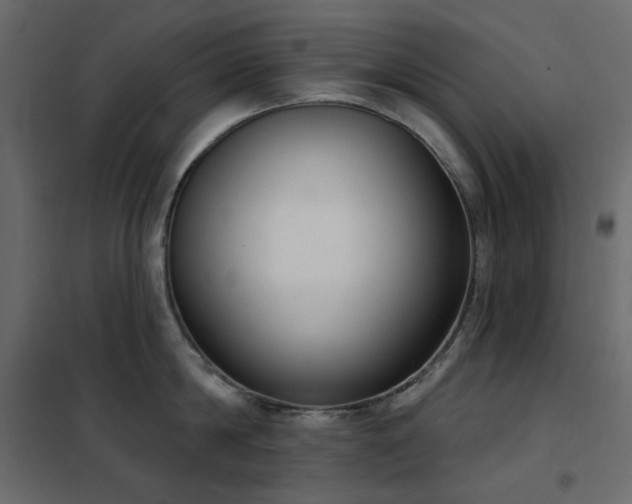 X0000102530814200808081450