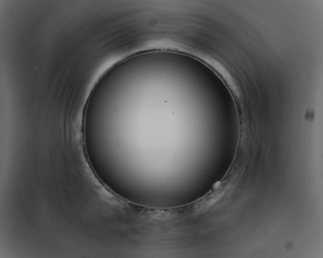 X0000102530815200808081450