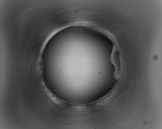 X0000102530816200808081450