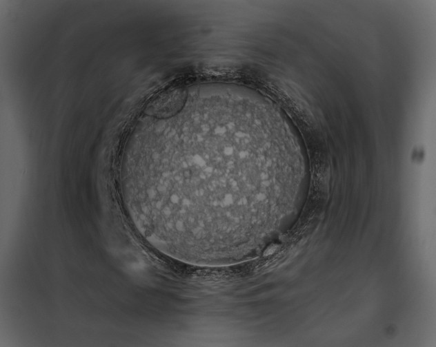 X0000102530817200808081449