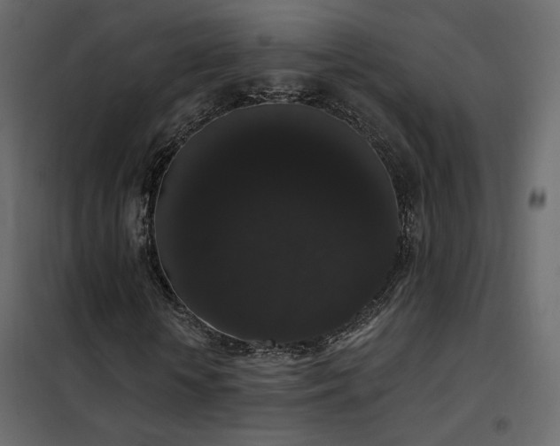 X0000102530818200808081449