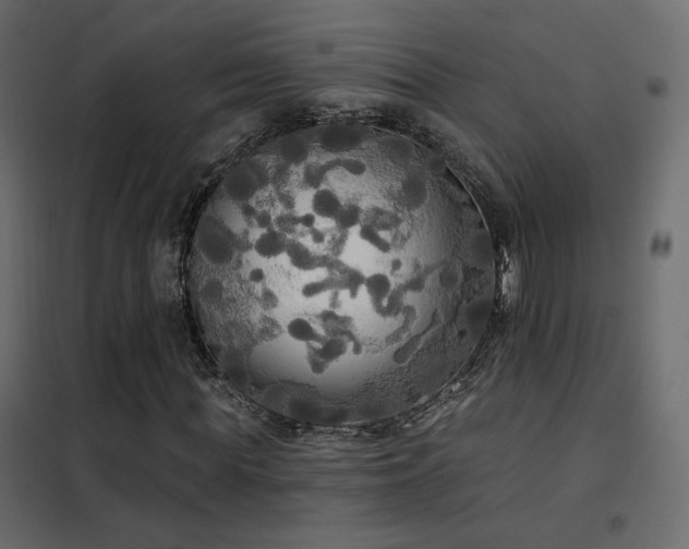 X0000102530819200808081449